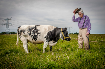 Willem van Eelen stands with a cow named Marijke.