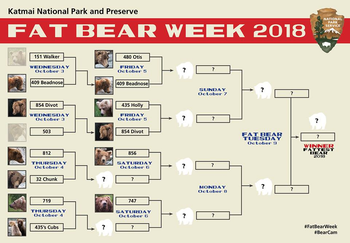 Fat Bear Week bracket 2018