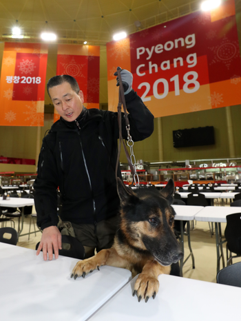 An explosives-sniffing dog, led by a police officer, searches the athletes&#039; village in the town of, northeastern South Korea, 22 January 2018, ahead of next month&#039;s PyeongChang Winter Olympics.