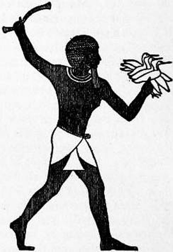 An Egyptian loincloth.