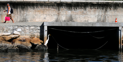 A bird sits next to a sewage canal at the Guanabara Bay in Rio de Janeiro