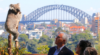 Mike Pence looking at a koala in Sydney, Australia