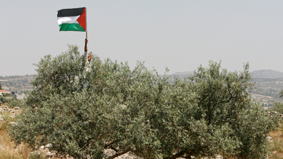 Palestinian flag in Bilin.