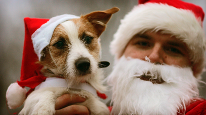 dog wearing santa hat, held by man wearing santa hat and beard