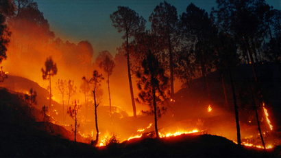 FOREST FIRE RAGES NEAR DWARAHAT VILLAGE IN NORTHERN INDIA.