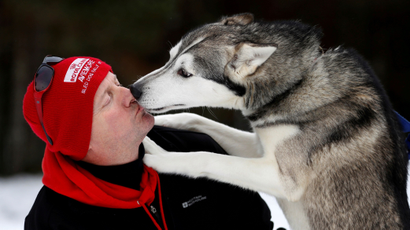 Musher Richard Morgan is licked by his husky after practice for the Aviemore Sled Dog Rally in Feshiebridge, Scotland