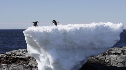 Two Adelie penguins stand atop a block of melting ice on a rocky shoreline at Cape Denison, Commonwealth Bay, in East Antarctica January 1, 2010. Russia and the Ukraine on November 1, 2013 again scuttled plans to create the world's largest ocean sanctuary in Antarctica, pristine waters rich in energy and species such as whales, penguins and vast stocks of fish, an environmentalist group said. The Commission for the Conservation of Antarctic Marine Living Resources wound up a week-long meeting in Hobart, Australia, considering proposals for two "marine protected areas" aimed at conserving the ocean wilderness from fishing, drilling for oil and other industrial interests. Picture taken January 1, 2010. To match story ANTARCTIC-ENVIRONMENT/ REUTERS/Pauline Askin