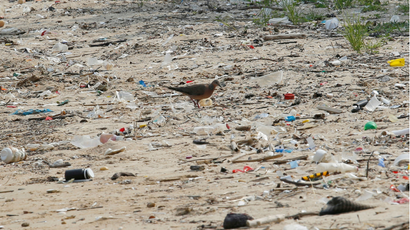 A bird pictured on a beach littered in plastic.