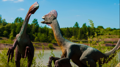 An artist's rendition of two large dinosaurs with elaborate head ornamentation.