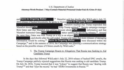 Mueller report screenshot