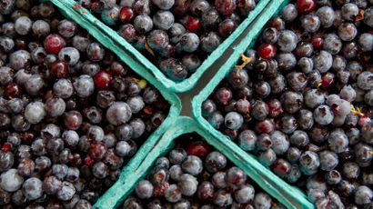 four crates of blueberries, which are a high-carb fruit.
