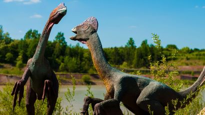 An artist's rendition of two large dinosaurs with elaborate head ornamentation.