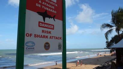 shark attack danger at recife, site of world cup