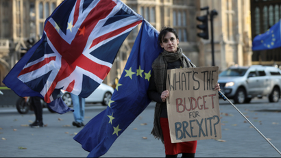 Protester outside British parliament before the autumn budget