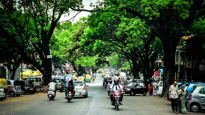 India-Bengaluru-trees