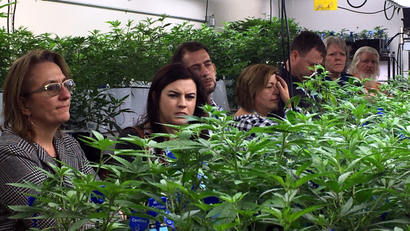In this Jan. 31, 2017 photo, agriculture regulators from seven different states and Guam tour a Denver marijuana growing warehouse on a tour organized by the Colorado Department of Agriculture in Denver. The department is opening up its marijuana knowledge to other states and encouraging them to plan now for the possibility of regulating farmers growing a plant that violates federal law.