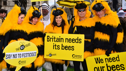 London bees