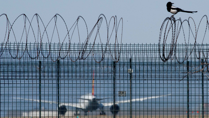 A bird sits on the barbed wire fence surrounding Beijing Capital International Airport as a plane taxies.
