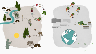 Illustration of indigenous and industrial farming.