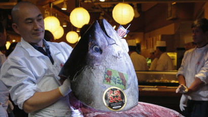 DATE IMPORTED:January 05, 2013Kiyomura Co's employee holds the head of a 222 kg (489 lbs) bluefin tuna after cutting its meat at the company's sushi restaurant outside Tsukiji fish market in Tokyo January 5, 2013. Kiyomura Co's President Kiyoshi Kimura, who runs a chain of sushi restaurants, won the bid for the tuna caught off Oma, Aomori prefecture, northern Japan, with a record 155.40 million yen (1,762,700 USD) at the fish market's first tuna auction this year. REUTERS/Toru Hanai
