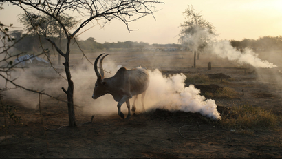 South Sudan may stop production of its first homegrown beer, White Bull.