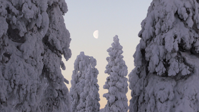 The setting moon is framed by snow-covered trees in Ruka.