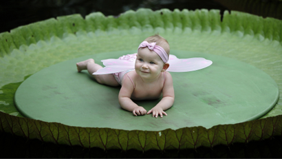 baby on a giant leaf