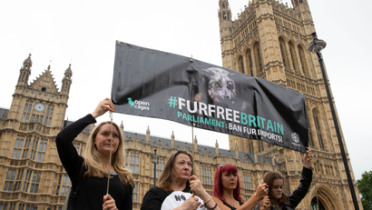 Fur protesters at Westminster