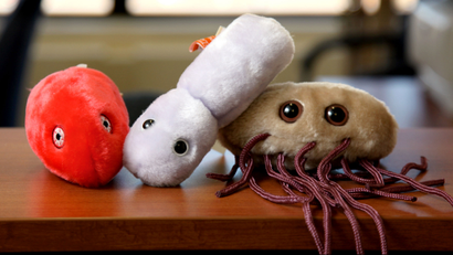 Germ stuffed animals