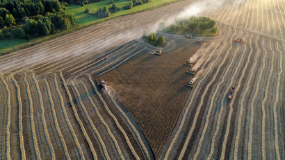 An aerial view shows combines harvesting wheat at the Solgonskoye private farm outside the Siberian village of Talniki in the Krasnoyarsk region