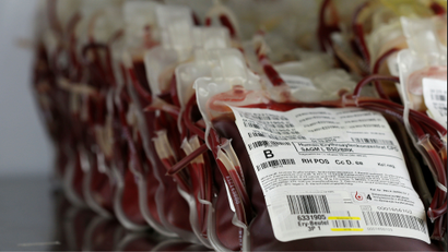 A row of bags of blood for transfusions.