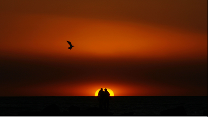 The outline of a couple in a red-orange sunset with a bird flying in the air.