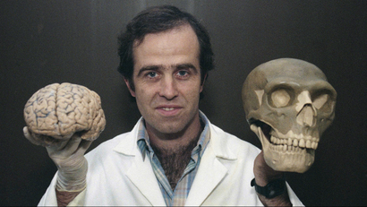 Scientist holding brain and skull
