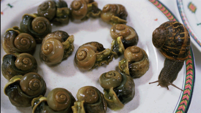 Escargot snails