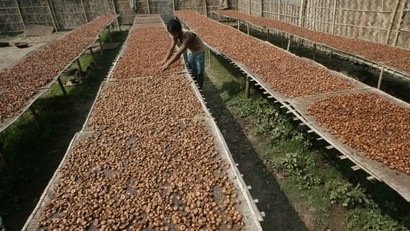 A labourer dries betel nuts at a cottage industry in Choto Shalkumar village