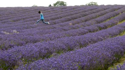 boy jumping over lavender