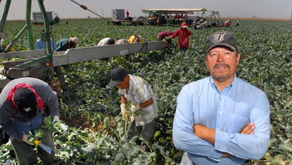Francisco Chavez, owner of F. Chavez Harvesting LLC, stands in a broccoli field in Yuma, Ariz., Saturday, March 8, 2008. Chavez said his workers are mostly from Sonora, Mexico and Mexicali, Baja Calif. As a labor contractor in America's winter lettuce capital, Chavez struggles with the problem of getting enough people to pick and package produce. It's stories like these that are prompting lawmakers in Arizona and Colorado to seek permission to bring in their own temporary foreign employees rather than rely on a federal guest-worker program criticized as being slow and fraught with bureaucracy.