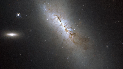 The galaxy pictured here is NGC 4424, located in the constellation of  Virgo. It is not visible with the naked eye but has been captured here with the NASA/ESA Hubble Space Telescope. Although it may not be obvious from this image, NGC 4424 is in fact a spiral galaxy. In this image it is seen more or less edge on, but from above you would be able to see the arms of the galaxy wrapping around its centre to give the characteristic spiral form . In 2012 astronomers observed a supernova in NGC 4424 — a violent explosion marking the end of a star’s life. During a supernova explosion, a single star can often outshine an entire galaxy. However, the supernova in NGC 4424, dubbed SN 2012cg, cannot be seen here as the image was taken ten years prior to the explosion. Along the central region of the galaxy, clouds of dust block the light from distant stars and create dark patches. To the left of NGC 4424 there are two bright objects in the frame. The brightest is another, smaller galaxy known as LEDA 213994 and the object closer to NGC 4424 is an anonymous star in our Milky Way. A version of this image was entered into the Hubble's Hidden Treasures image processing competition by contestant Gilles Chapdelaine.