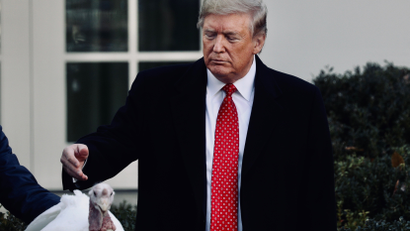 Trump pardons a turkey ahead of Thanksgiving.