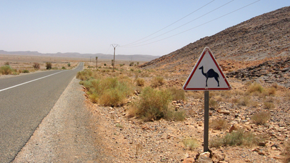 Morocco Desert camel sign