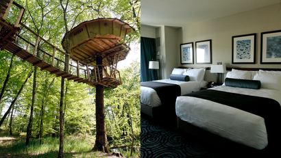tree house versus hotel room