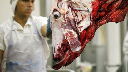 A worker processes slaughtered cattle in the Marfrig Group slaughter house in Promissao, 500 km northwest of Sao Paulo October 7, 2011. Brazil is the world?s second largest beef-exporting country by volume acording to the USDA (United States Department of Agriculture). The world's population will reach seven billion on 31 October 2011, according to projections by the United Nations, which says this global milestone presents both an opportunity and a challenge for the planet. While more people are living longer and healthier lives, says the U.N., gaps between rich and poor are widening and more people than ever are vulnerable to food insecurity and water shortages. Picture taken October 7, 2011 REUTERS/Paulo Whitaker