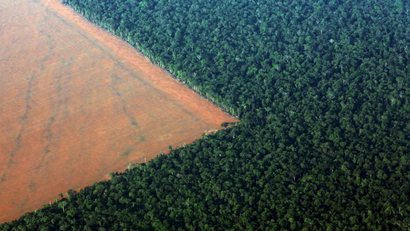 Deforestation in the Amazon