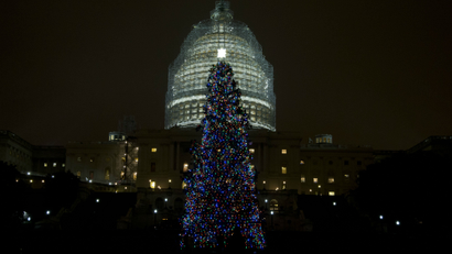 The U.S. Capitol Christmas tree stands after being lit by House Speaker John Boehner and Make-A-Wish Foundation recipient Aaron Urban, 10, from Linthicum, Md., on the West Front of the Capitol in Washington Tuesday, Dec. 2, 2014. The 2014 U.S. Capitol Christmas Tree is an 88-foot white spruce from the Chippewea National Forest in Cass Lake, Minn. (AP Photo/Manuel Balce Ceneta)