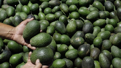 man holding avocados