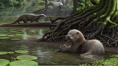 An artist's rendition of the massive, prehistoric otters.