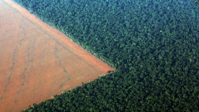 The Amazon rain forest (R), bordered by deforested land prepared for the planting of soybeans, is pictured in this aerial photo taken over Mato Grosso state in western Brazil