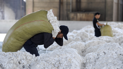 A worker carries a sack of cotton at a cotton purchasing station in Wuhu, Anhui province, October 2, 2012.