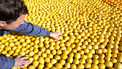 A visitor touches fruit which forms a pattern made with lemons and oranges during the Lemon Festival in Menton, southeastern France.