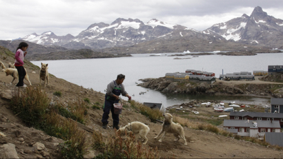 Gert Ignatiussen throws a chunk of seal meat to one of his sled dogs in Tasiilaq, an Inuit town on the southeast coast of Greenland, in this photograph taken on Aug. 25, 2009. Ignatiussen was the winner of Greenland's annual amateur mineral hunt, a competition that the local government hopes will spur Greenlanders to take interest in the hidden resources being uncovered by the Arctic thaw.